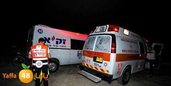 3aregmontreeh520 (35).jpg